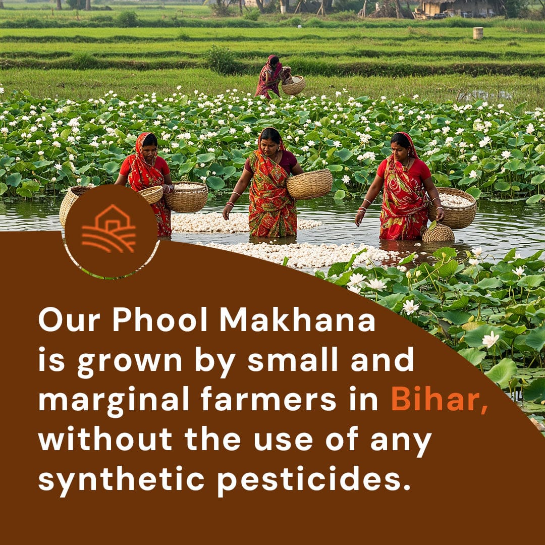 Premium Phool Makhana Pesticide-Free Premium Phool Makhana Pesticide-Free