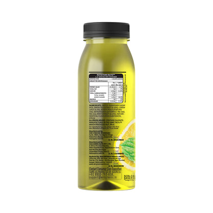 Iced Green Tea – Mint Mojito 250 ml
