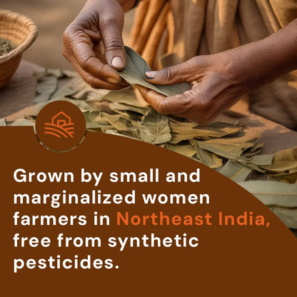 Safe Harvest Bay Leaf grown by small marginalized women farmers in Northeast India, free from synthetic pesticides.