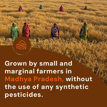 Wheat Daliya Pesticide-Free 500g