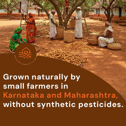 Safe Harvest tamarind grown naturally by women farmers without synthetic pesticides