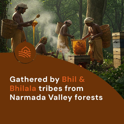 Safe Harvest wild forest honey gathered by Bhil and Bhilala tribes from Narmada Valley forests.