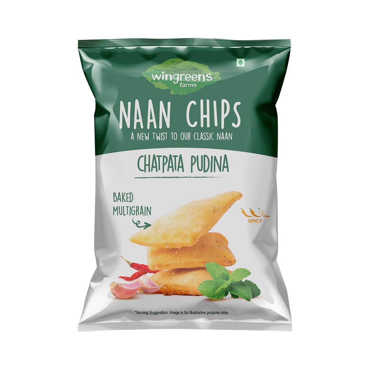 chatpata pudina naan chips